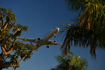 DSC_5720 (Large).JPG